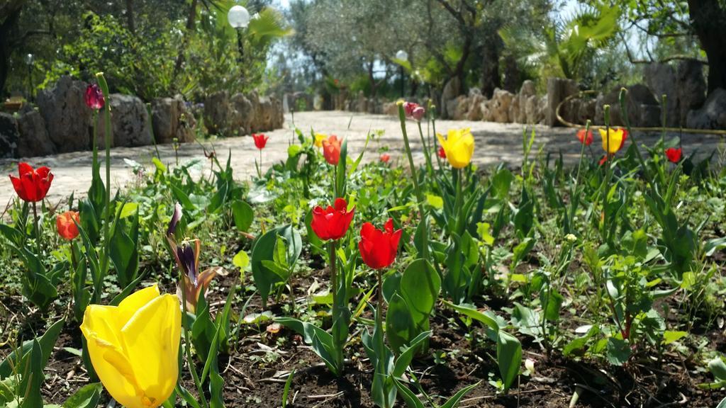 Agriturismo Tenuta La Siesta Gallipoli Luaran gambar