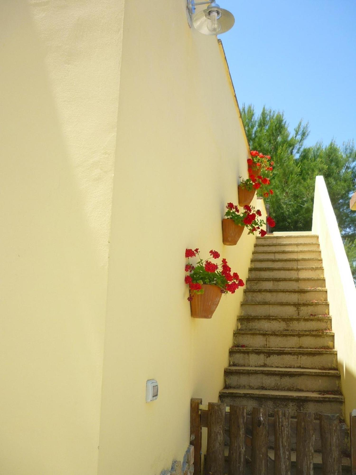 Agriturismo Tenuta La Siesta Gallipoli Luaran gambar