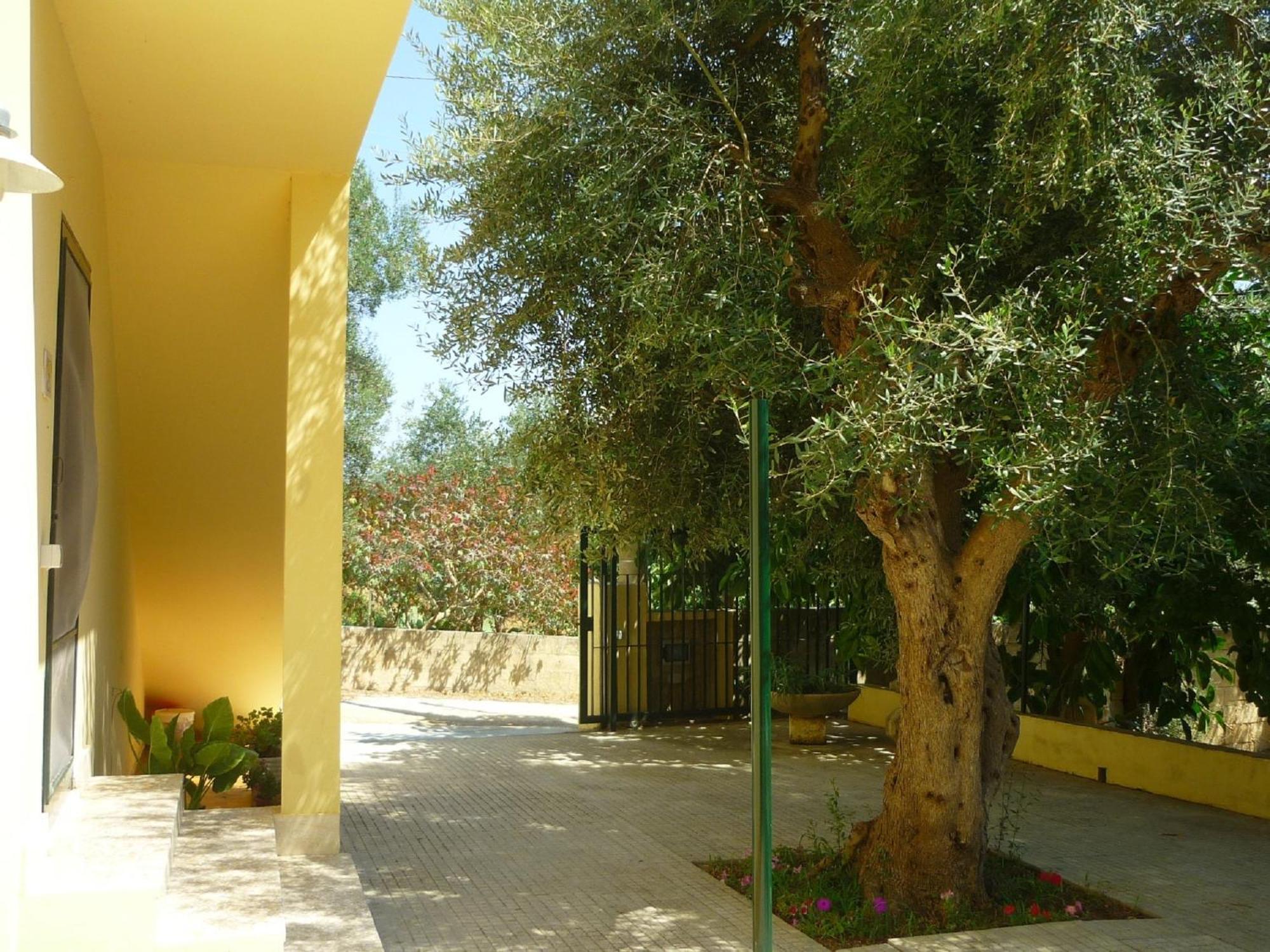 Agriturismo Tenuta La Siesta Gallipoli Luaran gambar