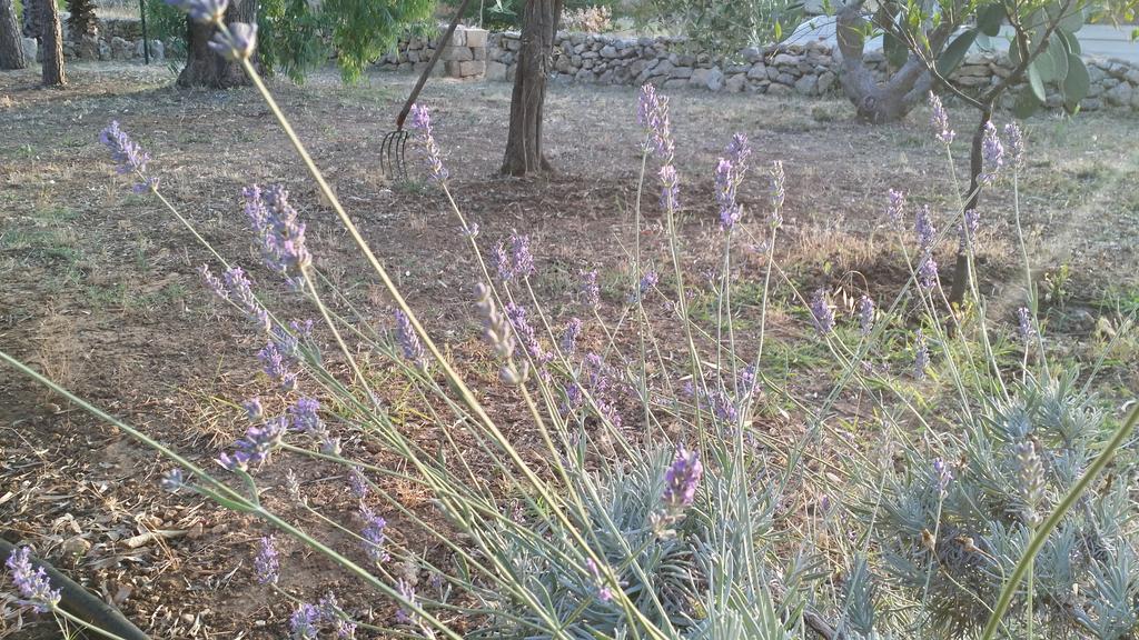 Agriturismo Tenuta La Siesta Gallipoli Luaran gambar