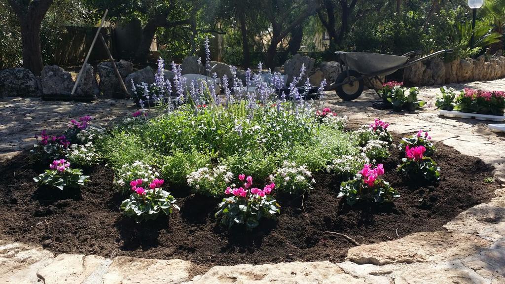 Agriturismo Tenuta La Siesta Gallipoli Luaran gambar