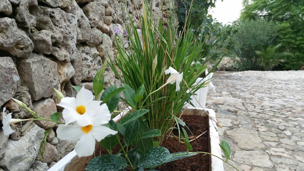 Agriturismo Tenuta La Siesta Gallipoli Luaran gambar