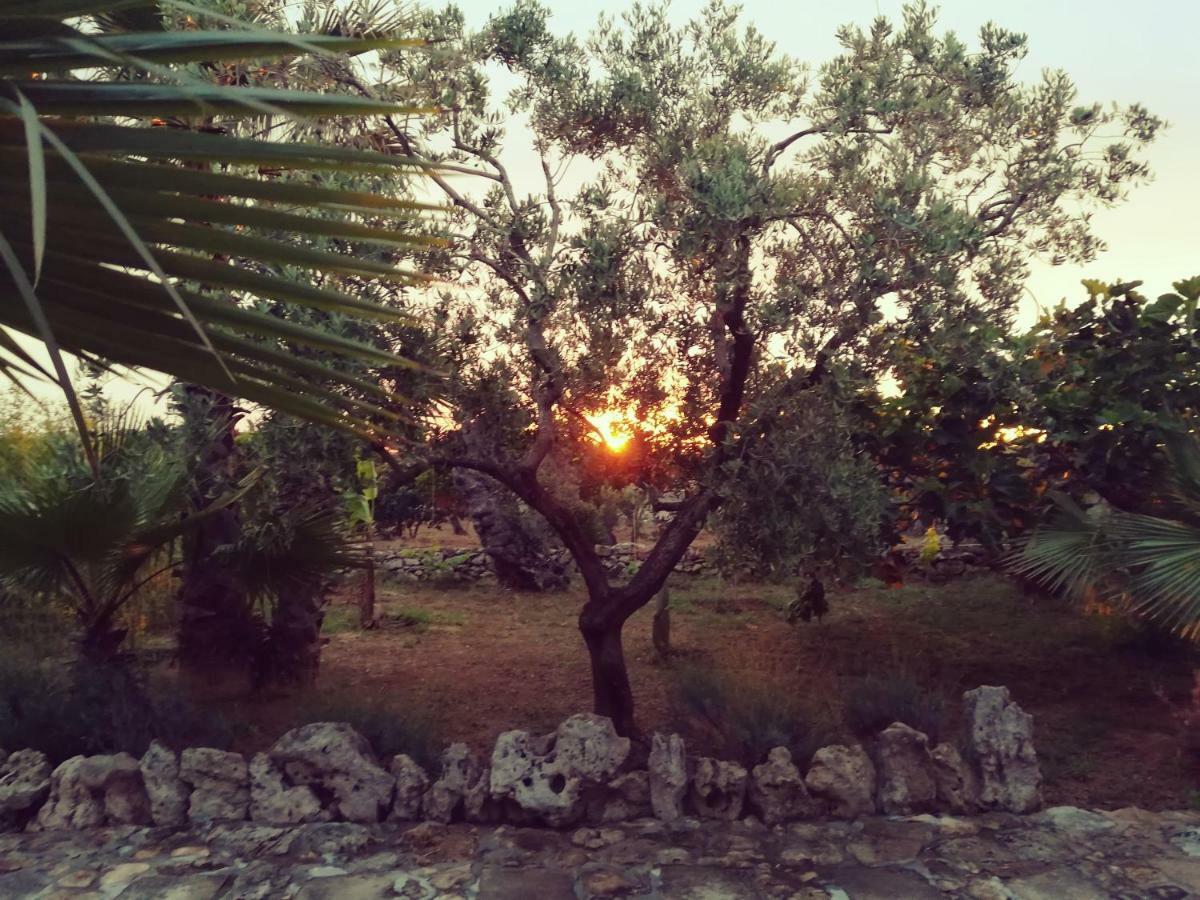 Agriturismo Tenuta La Siesta Gallipoli Luaran gambar