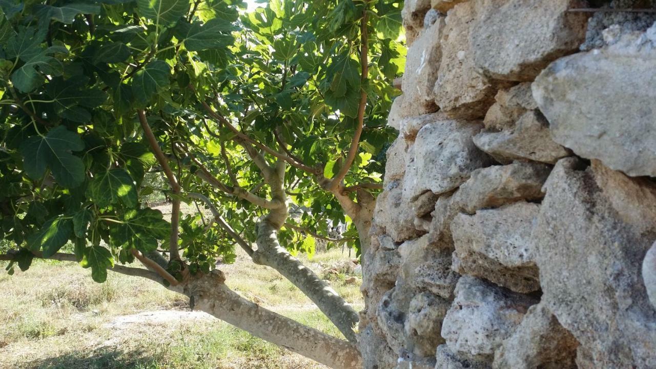 Agriturismo Tenuta La Siesta Gallipoli Luaran gambar